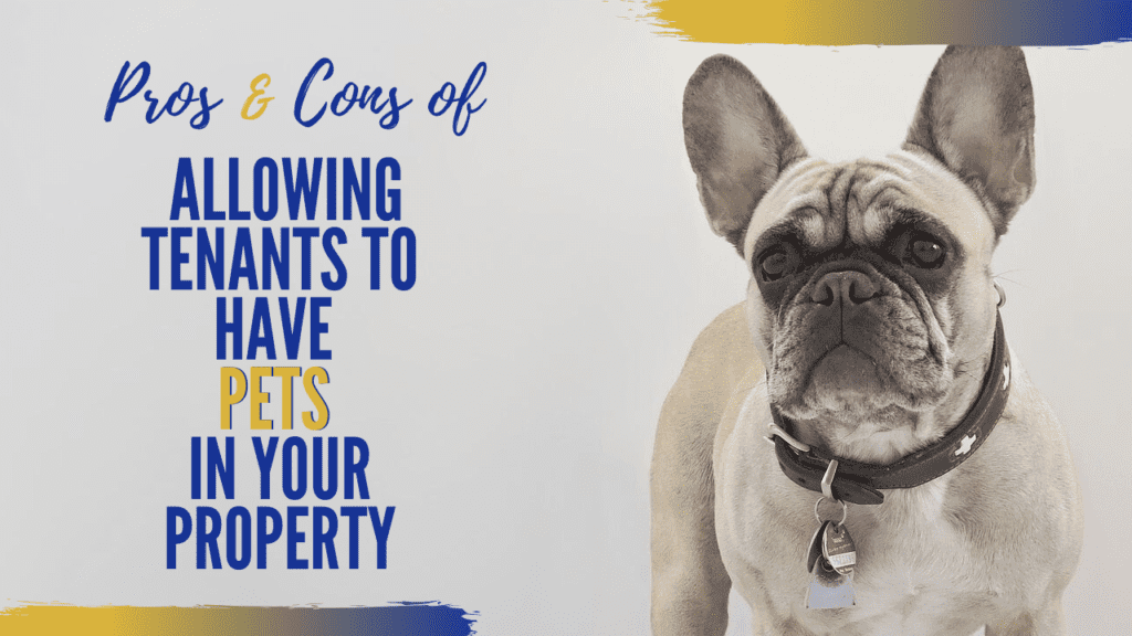Allowing Tenants to Have Pets in Your Bellevue Property Pros & Cons