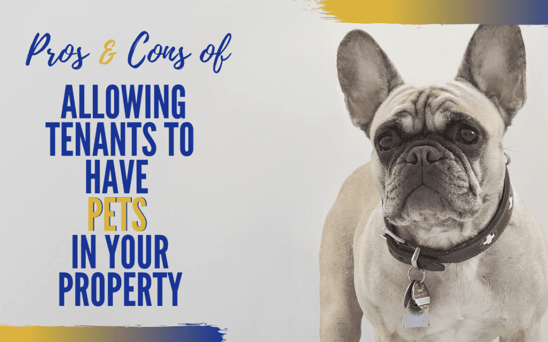 Pros & Cons of Allowing Tenants to Have Pets in Your Bellevue Property