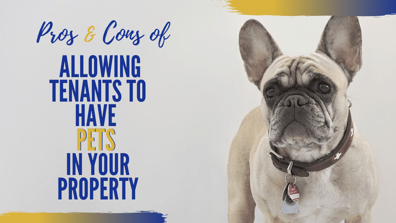 Pros & Cons of Allowing Tenants to Have Pets in Your Bellevue Property - Article Banner