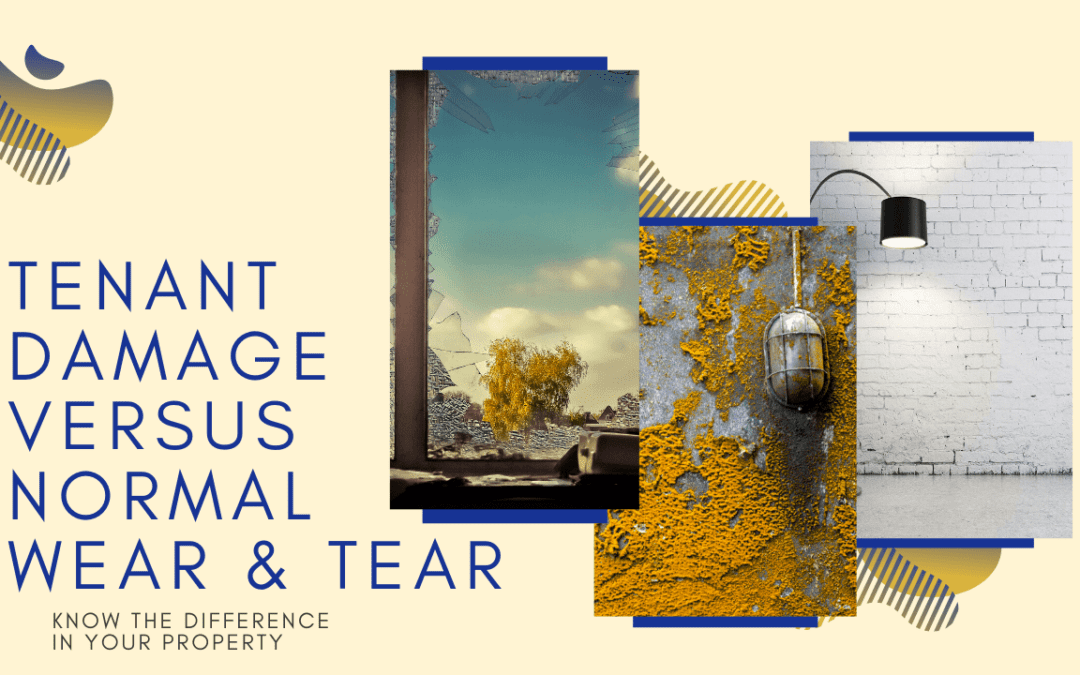 Tenant Damage versus Normal Wear & Tear: Know the Difference in Your Bellevue Property