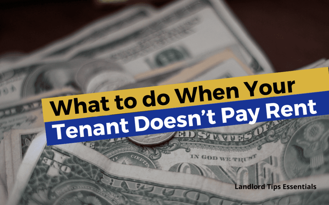What to Do When Your Tenant Doesn’t Pay Rent | Bellevue Landlord Tips