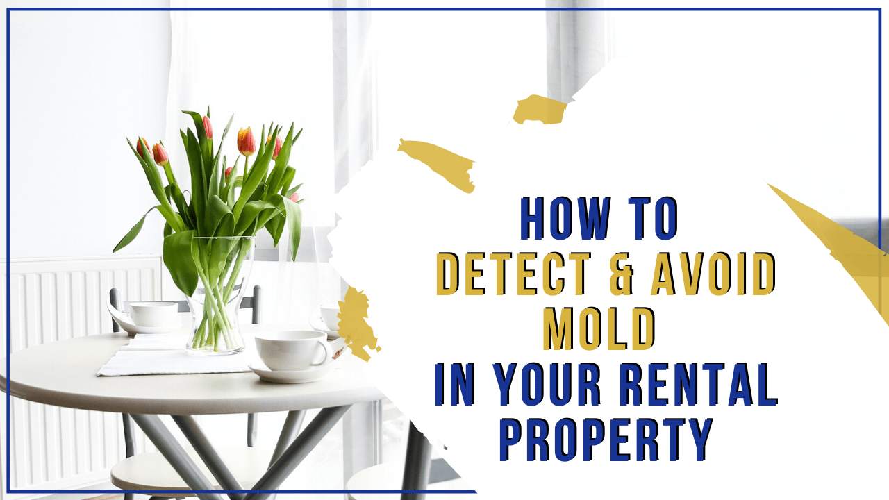 How to Detect & Avoid Mold in Your Everett Rental Property - Article Banner