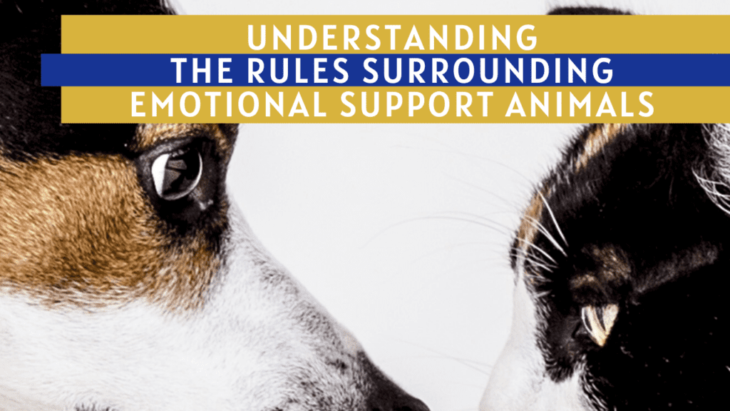 Understanding the Rules Surrounding Everett Emotional Support Animals - Article banner