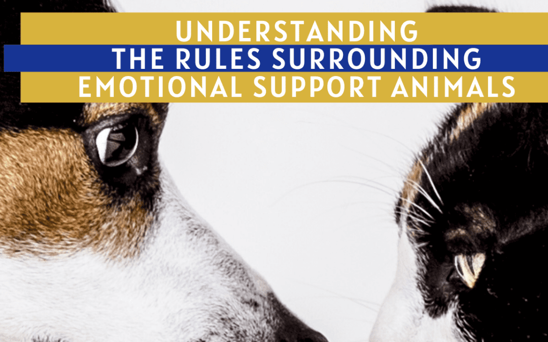 Understanding the Rules Surrounding Everett Emotional Support Animals