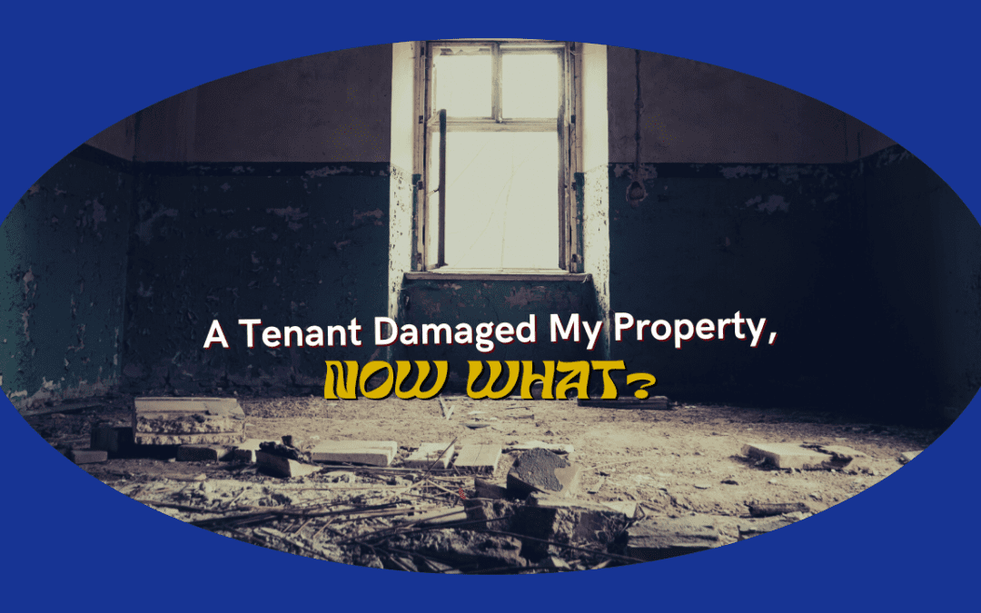 A Tenant Damaged My Issaquah Property, Now What?