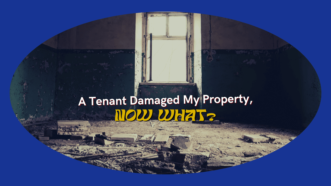 A Tenant Damaged My Issaquah Property, Now What?