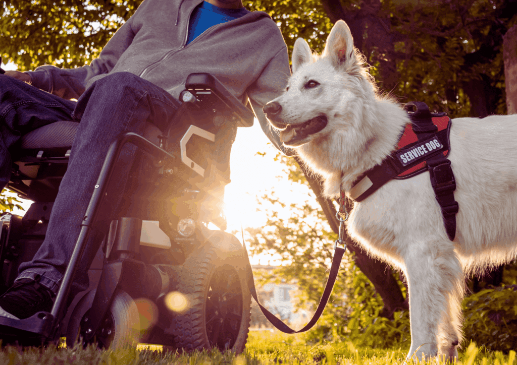 Service Animals and Housing Rights Service Animal