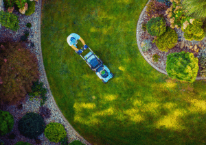 Curb Appeal Improvement